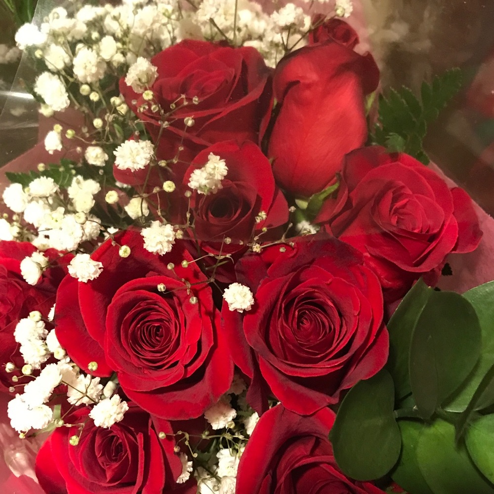 Meet your Posher, Luz